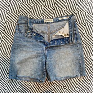 Aritzia • Denim Cut Off Shorts